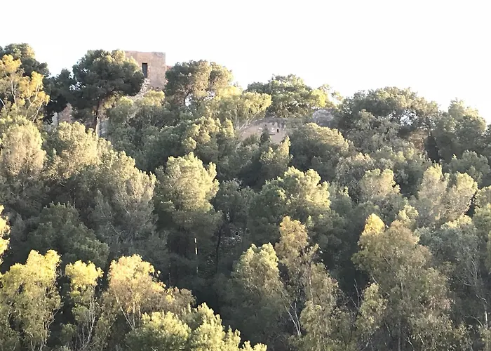 In Center * Málaga